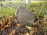 image number Barrell Walter 336